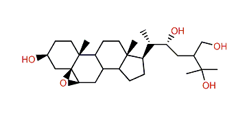 (R)-5b,6b-Epoxy-24-methylcholest-5-en-3b,22,25,28-tetrol